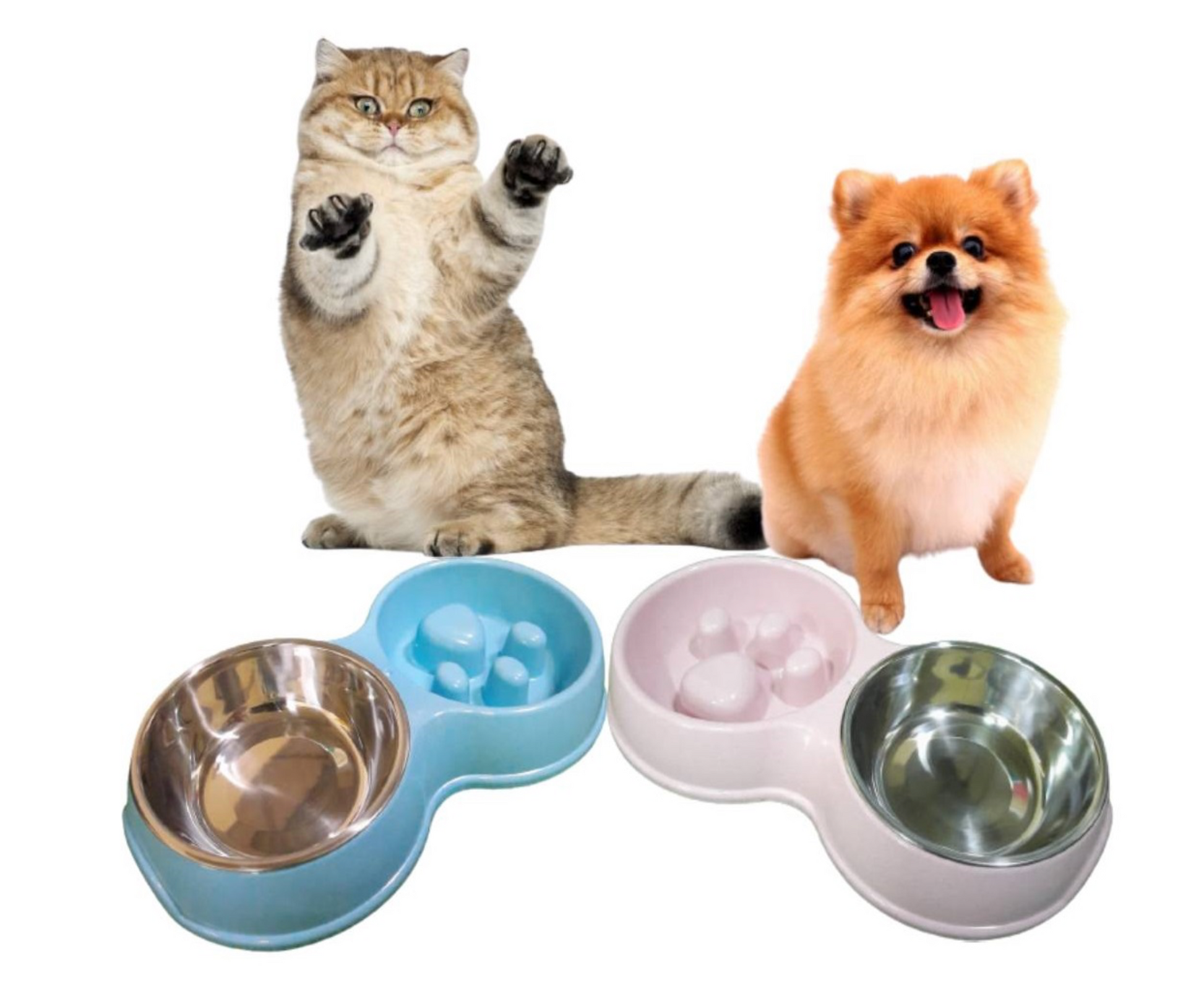 bowl, pet bowl, dog bowl, cat bowl, dubai pet food, pet shop near me, puppies online, pet, buy pet, pet food in dubai, pet clothes shop, pet store dubai, dog food dubai, pet online, pet shops in dubai, pets market warsan