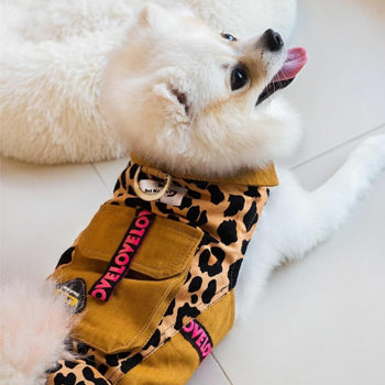 dog outfit, cat outfit, dubai pet food, pet shop near me, puppies online, pet, buy pet, pet food in dubai, pet clothes shop, pet store dubai, dog food dubai, pet online, pet shops in dubai, pets market warsan