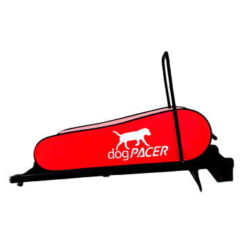 DogPacer LF 3.1 Treadmill