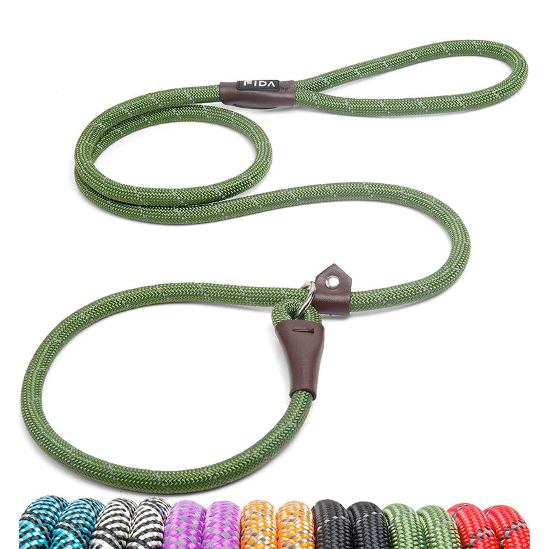 Fida Durable Slip Lead Dog Leash / Training Leash - Green