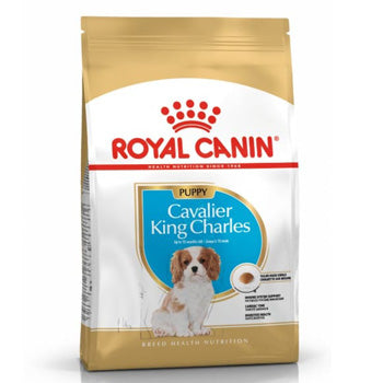 Royal Canin Breed Health Nutrition Cavalier King Charles Puppy 1.5 KG